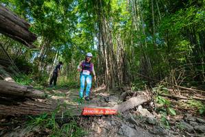 BIB: 
                            <button type="button" onclick="openModal(19389722)" class="btn btn-primary btn-sm float-right btn-popup" data-toggle="modal" data-target=".modal-high-quality">
                        <i class="fas fa-shopping-cart"></i> Add to Cart
                    </button>
                                            <button type="button" onclick="isThisMe(19389722, true)" class="btn btn-success btn-sm float-right btn-popup btn-isme hidden" data-toggle="tooltip" data-placement="bottom" title="นี่คือรูปของคุณใช่ไหม คลิกที่นี่เพื่อเอาเข้าอัลบั้ม">
                        <i class="fas fa-plus"></i> Add to album
                    </button>
                    <button type="button" onclick="isThisMe(19389722, false)" class="btn btn-warning btn-sm float-right btn-popup btn-isnotme hidden">
                        <i class="fas fa-ban"></i> Remove from album
                    </button>